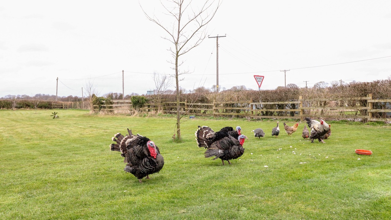 Photo of Others in Rugeley