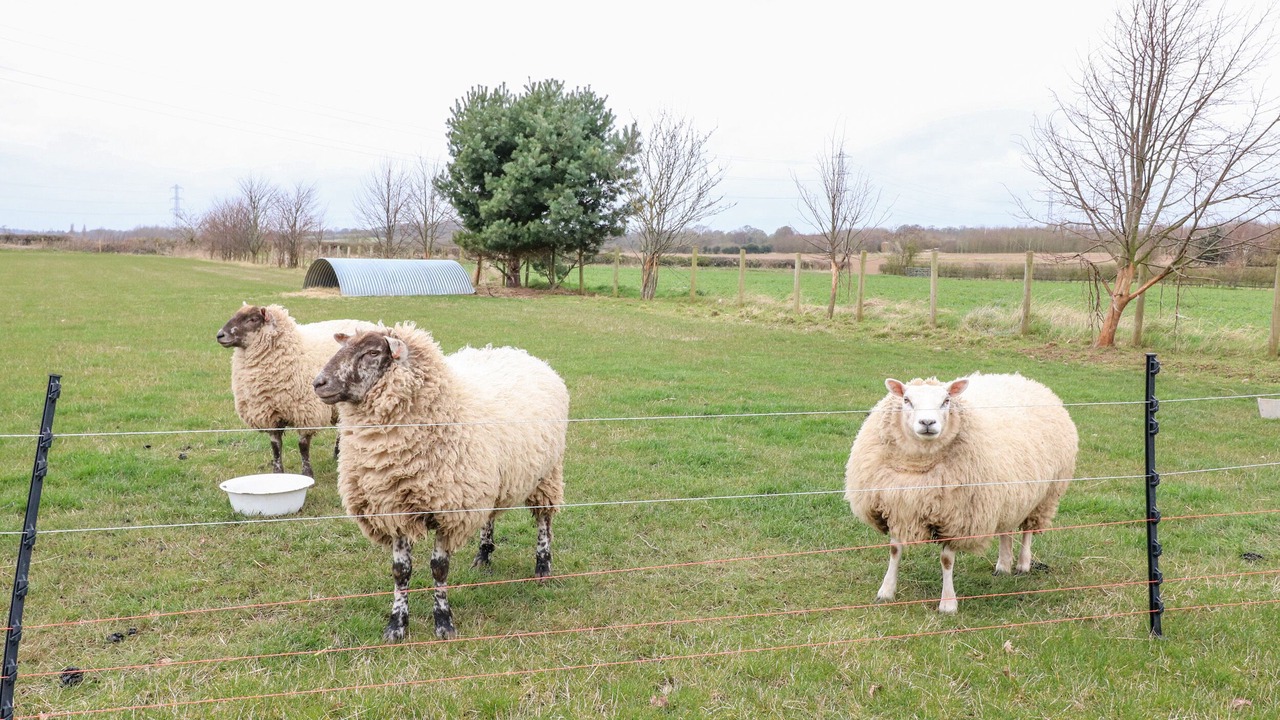 Photo of Others in Rugeley