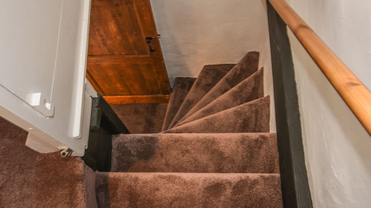 Photo of Others in Shaldon