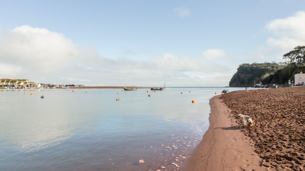 Photo of Others in Shaldon