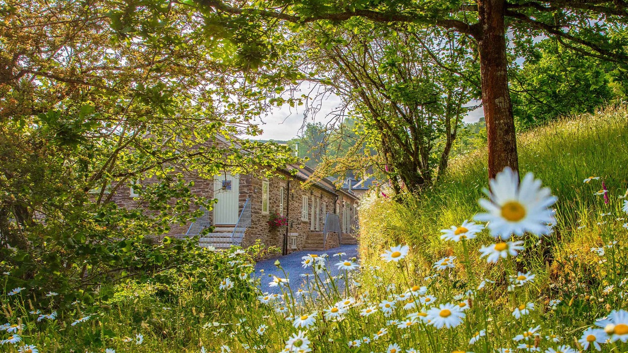 Photo of Outdoor in Totnes