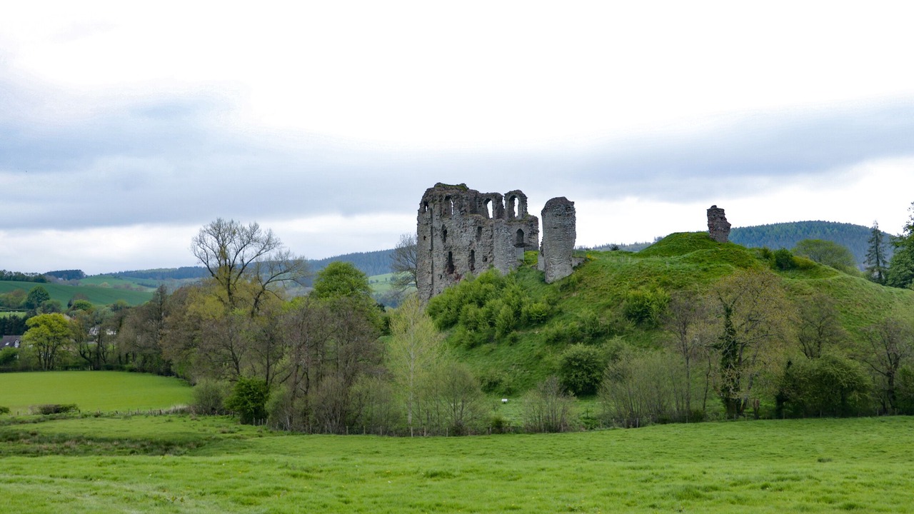 Photo of Others in Montgomery