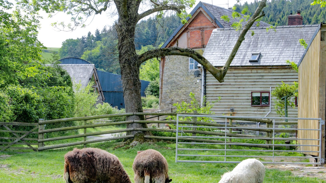 Photo of Others in Montgomery