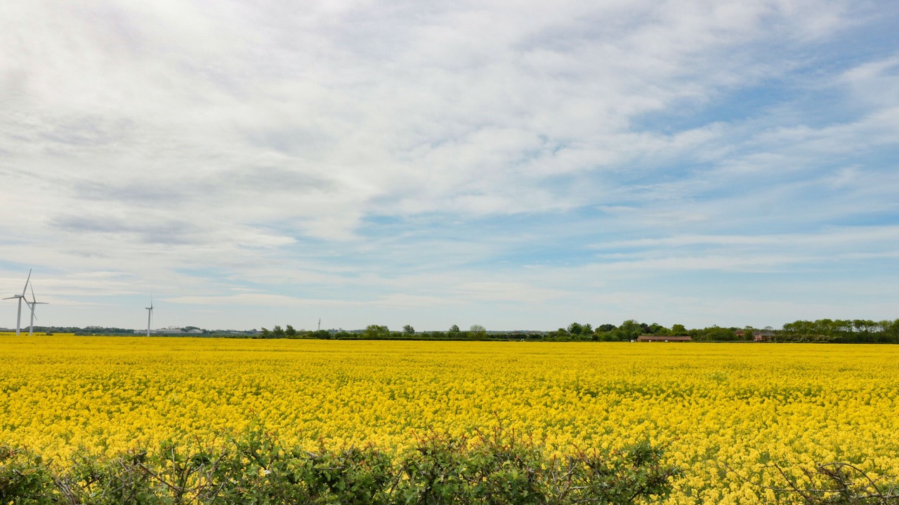 Photo of Others in Tunstall