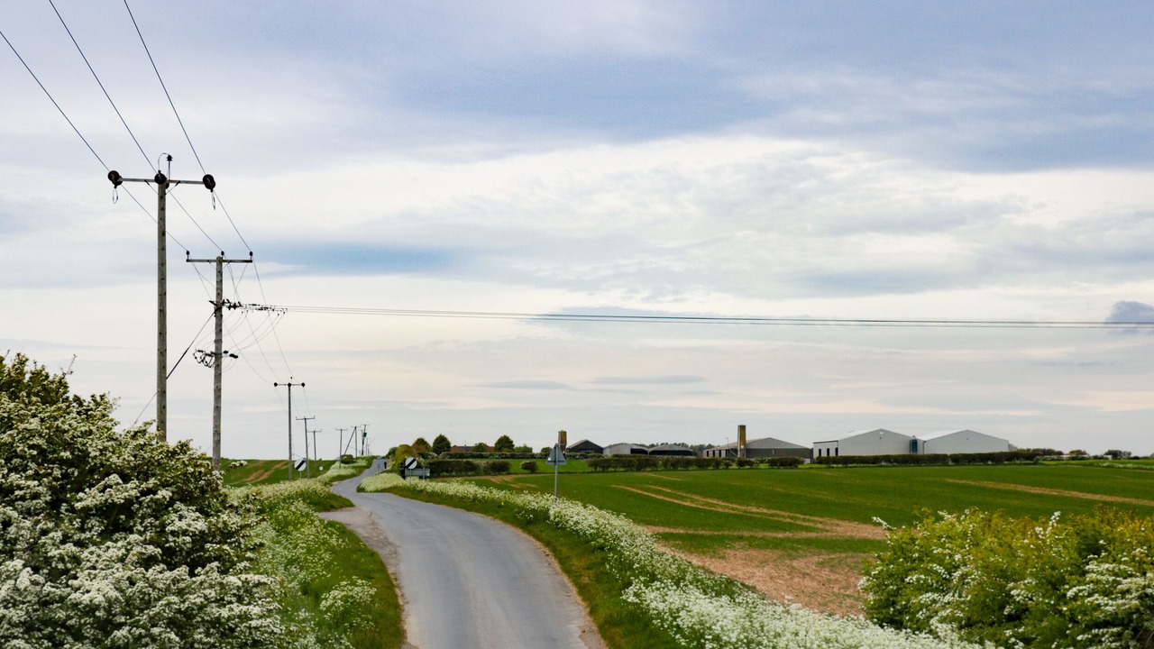 Photo of Others in Tunstall