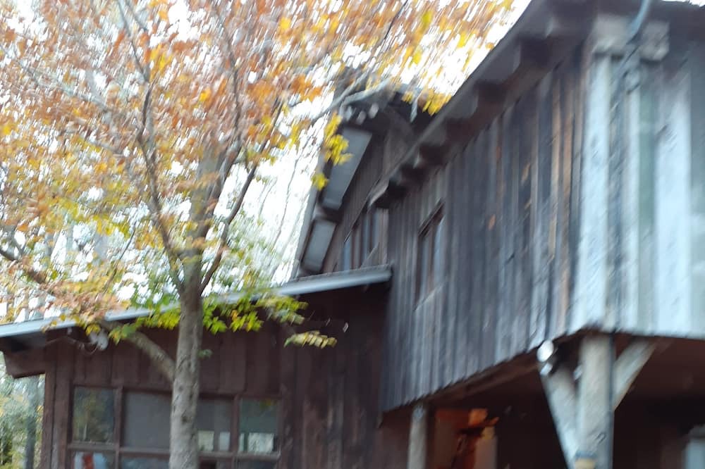Photo of Outdoor in Wesson