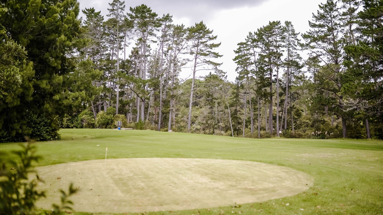 Photo of Others in Wainui