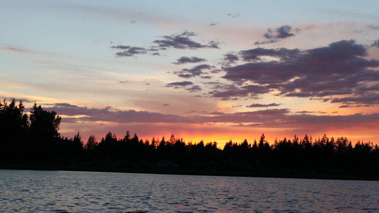 Photo of Others in McKenna