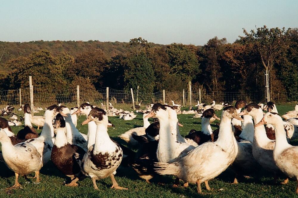 Photo of Others in Yport