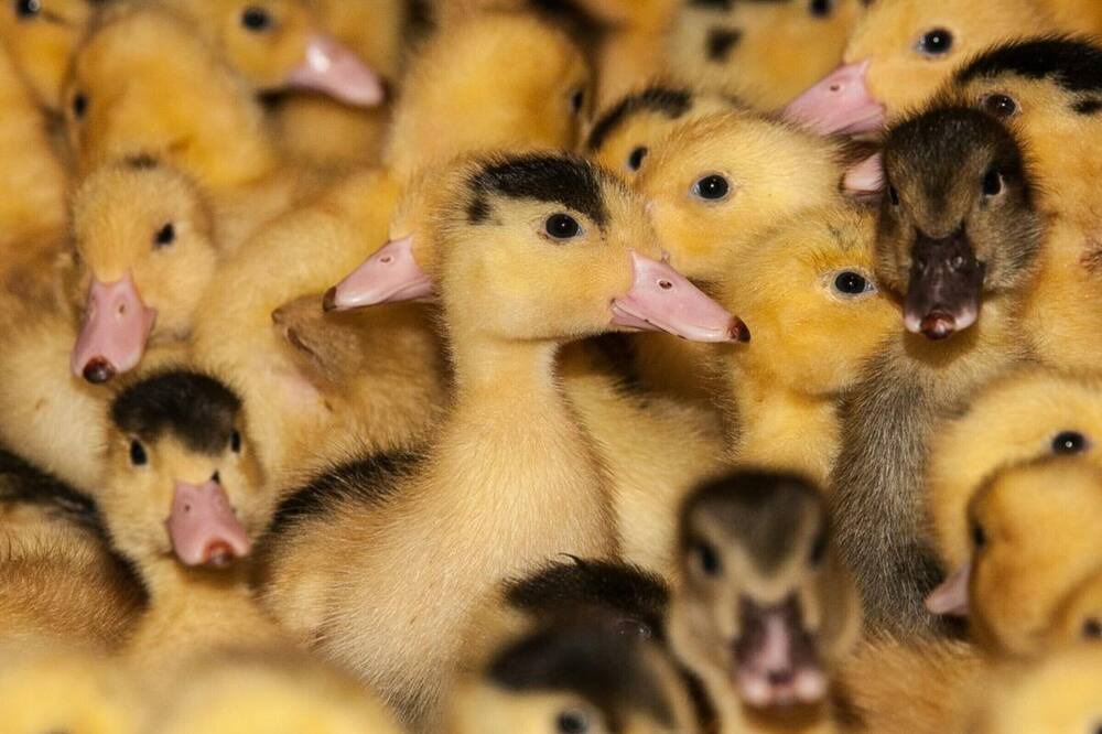 Photo of Others in Yport