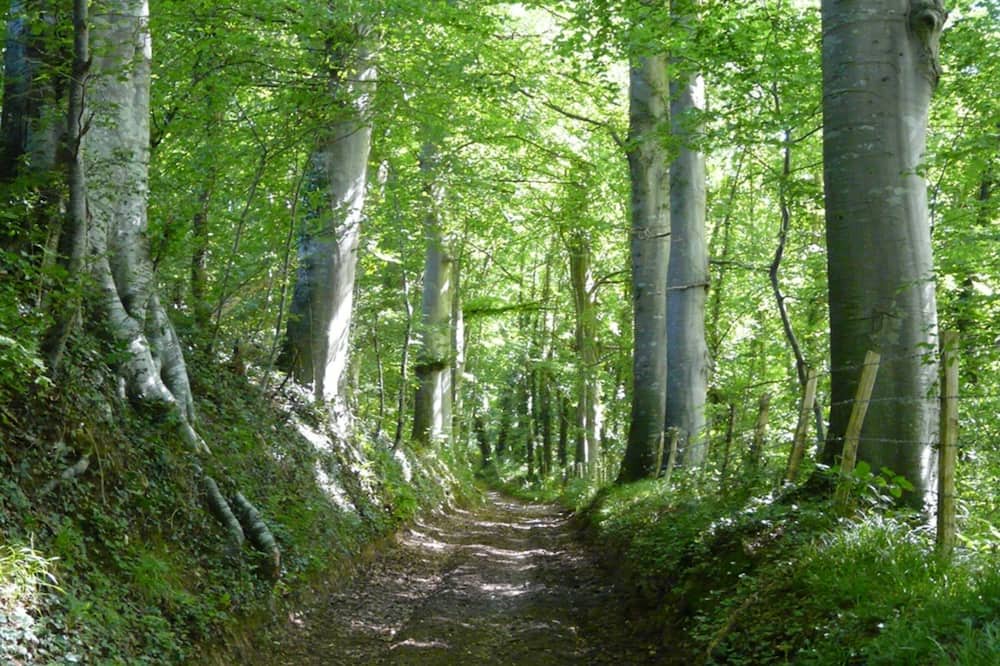 Photo of Outdoor in Sauchay