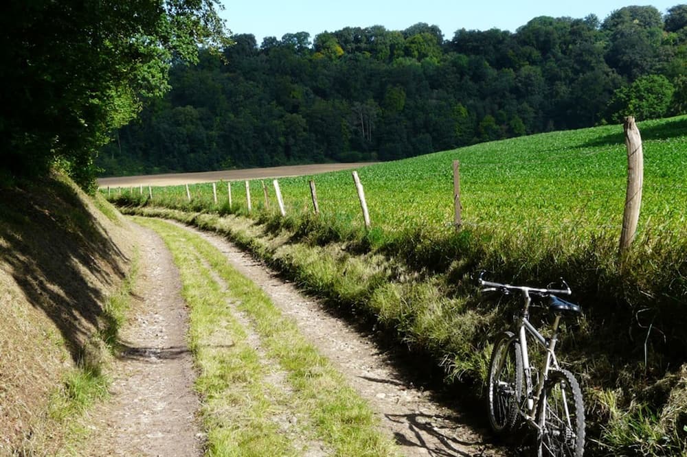 Photo of Outdoor in Sauchay