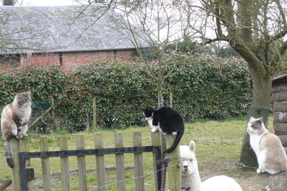 Photo of Outdoor in Saint-Leonard