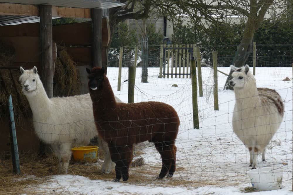 Photo of Outdoor in Saint-Leonard