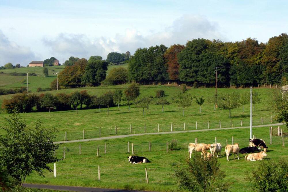 Photo of Others in Roncherolles-en-Bray