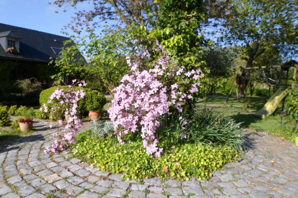 Photo of Outdoor in Riville