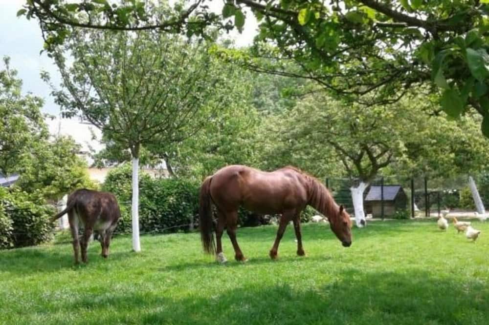 Photo of Outdoor in Cauville-sur-Mer