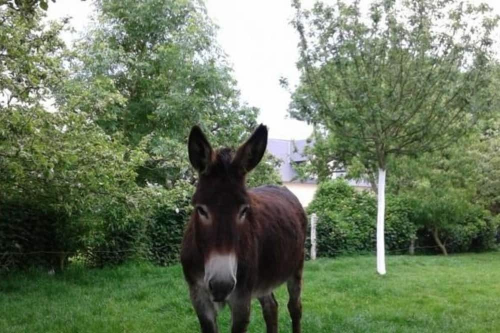 Photo of Outdoor in Cauville-sur-Mer