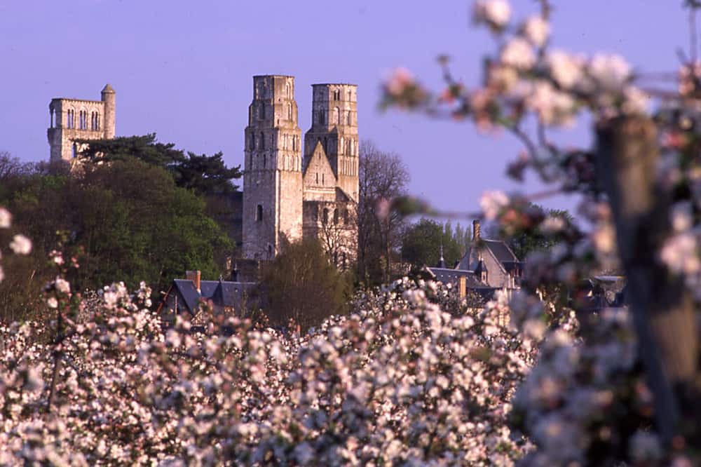 Photo of Outdoor in Vatteville La Rue