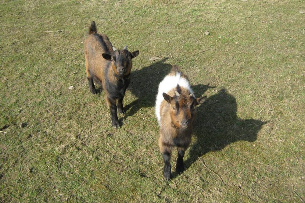 Photo of Others in Barentin