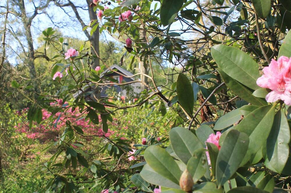 Photo of Outdoor in Sainte-Marguerite-sur-Mer