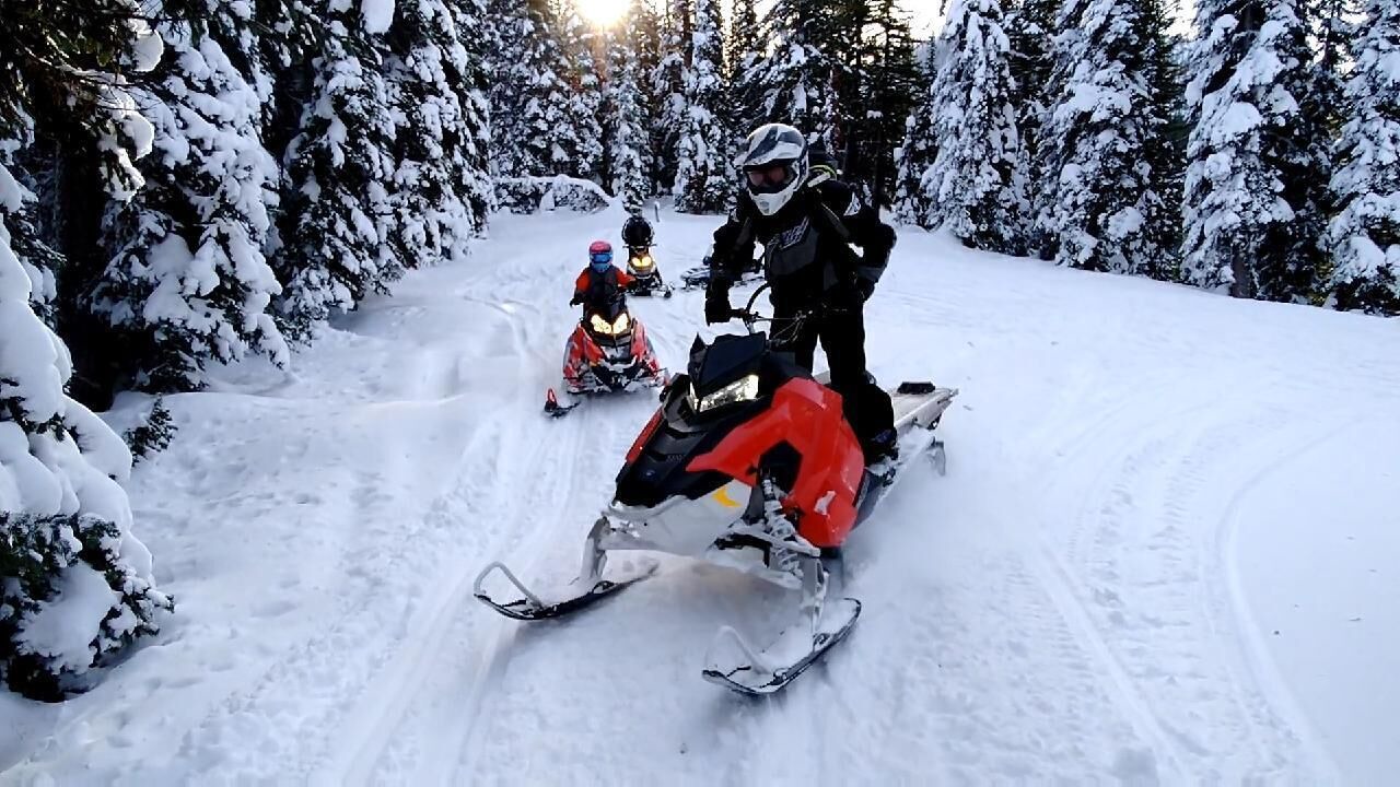 Photo of Others in Monitor