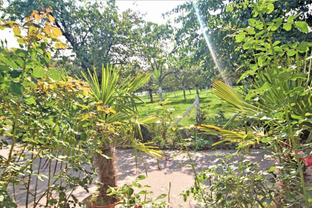 Photo of Outdoor in Octeville-sur-Mer