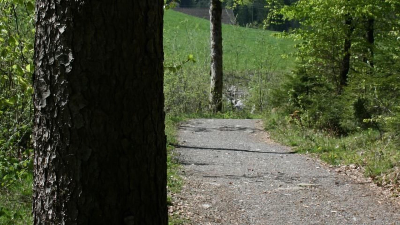 Photo of Outdoor in Nuegg
