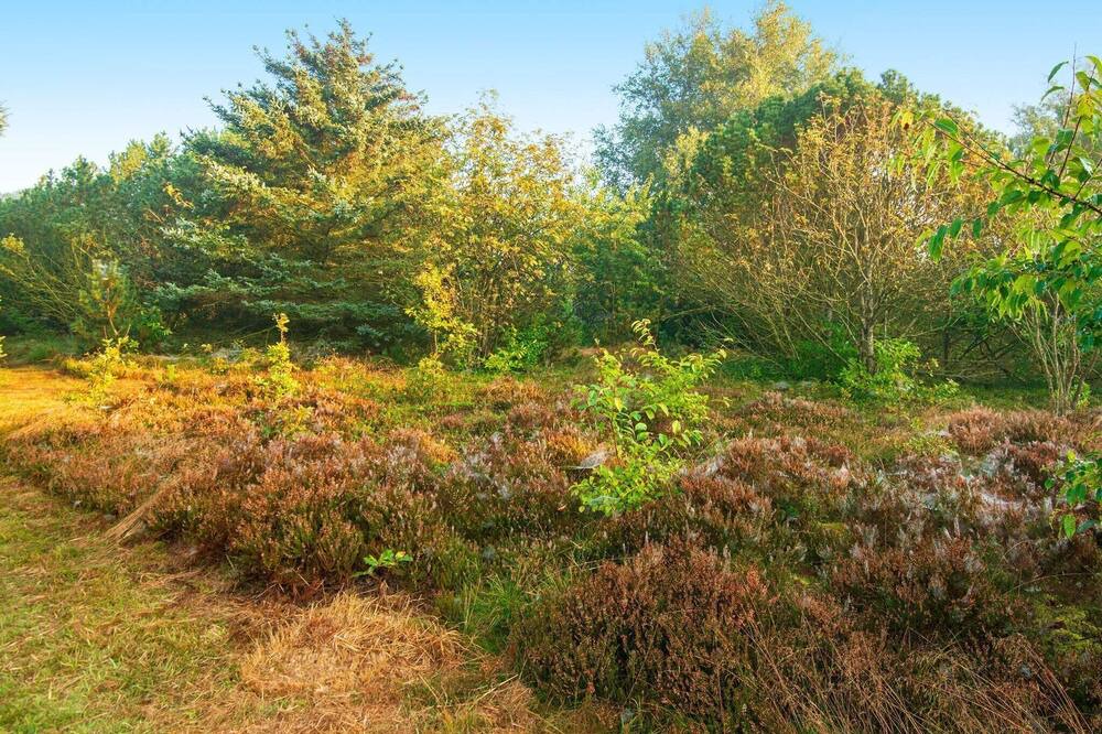 Photo of Outdoor in Sonder Omme