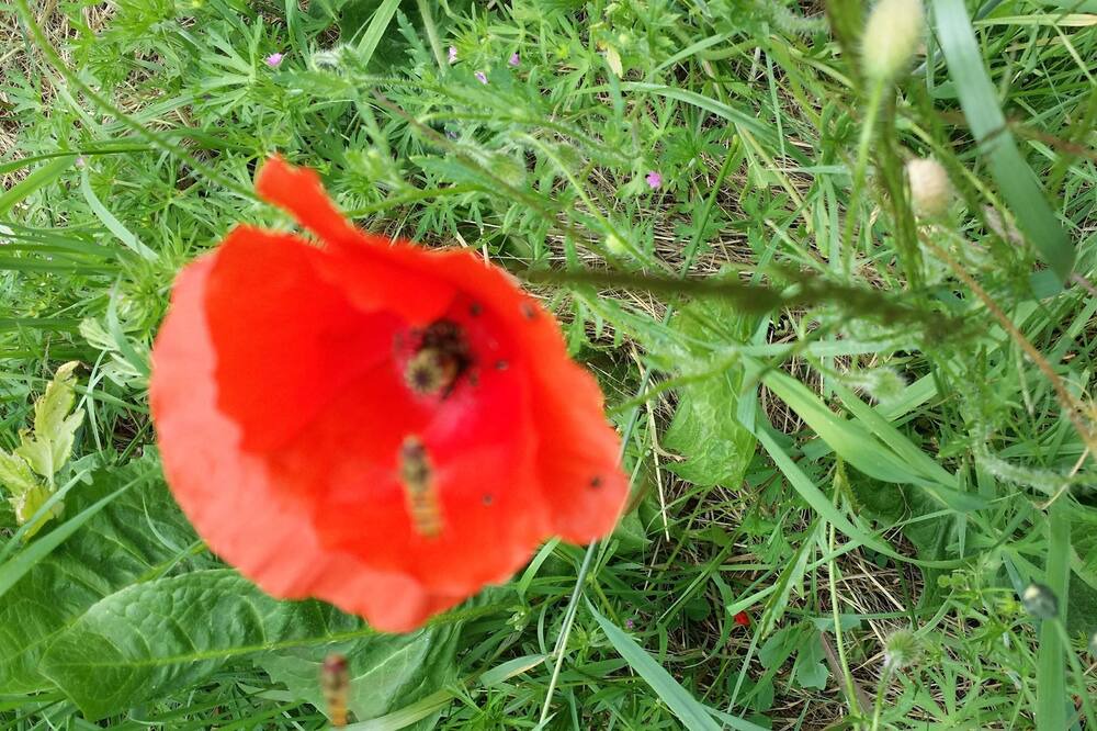 Photo of Outdoor in St-Andre-de-l'Eure
