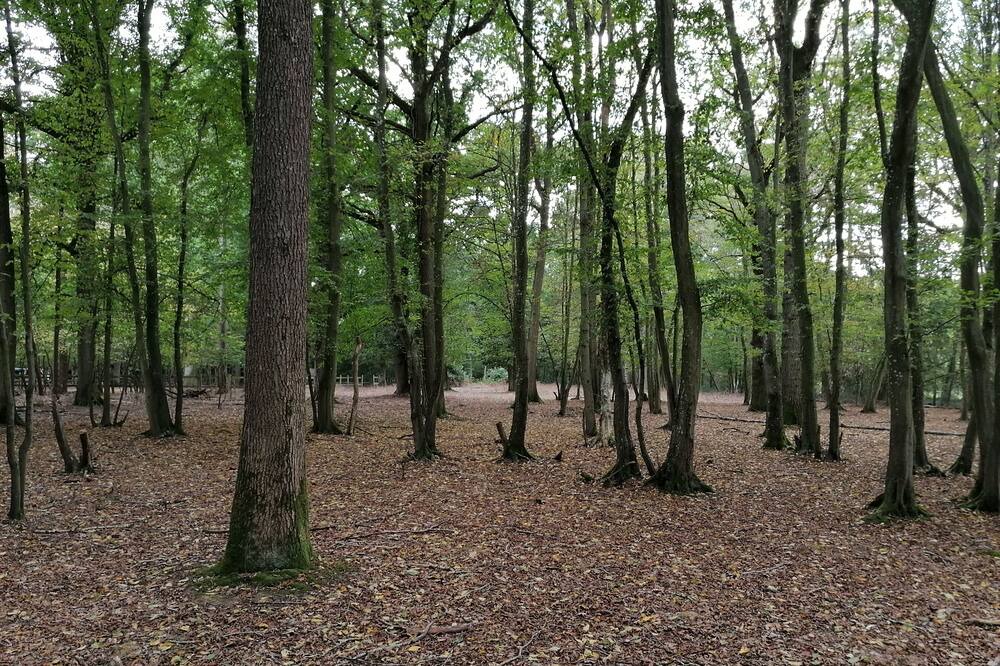 Photo of Outdoor in St-Andre-de-l'Eure