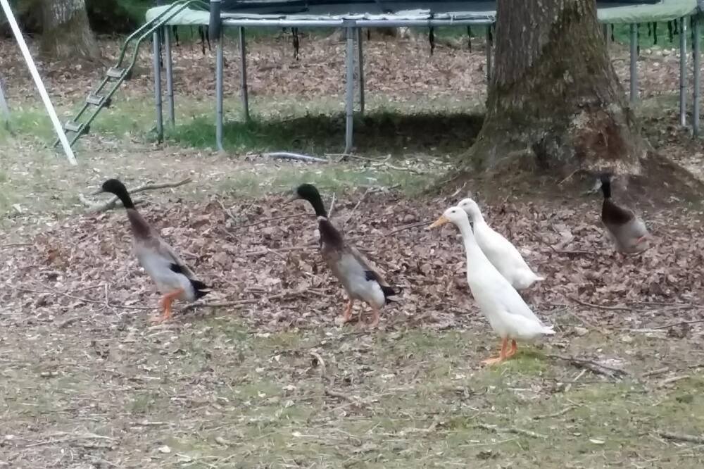 Photo of Outdoor in St-Andre-de-l'Eure