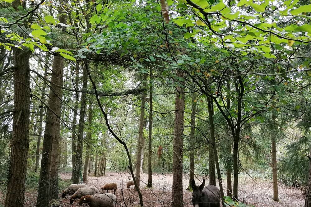 Photo of Outdoor in St-Andre-de-l'Eure