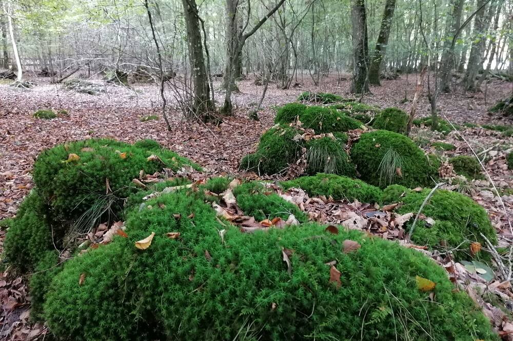 Photo of Outdoor in St-Andre-de-l'Eure