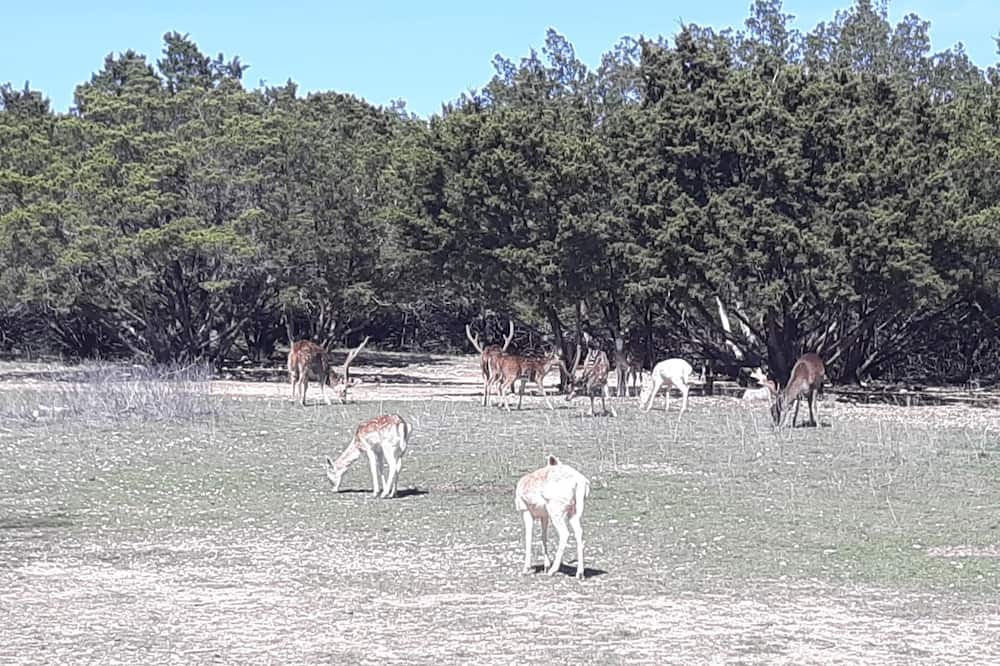 Photo of Others in Hamilton