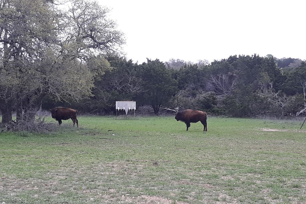 Photo of Outdoor in Hamilton