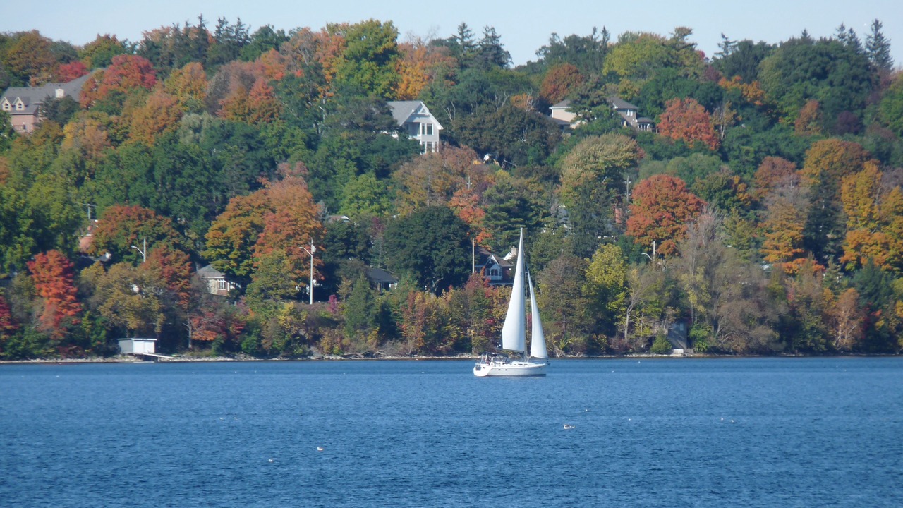 Photo of Others in Welland