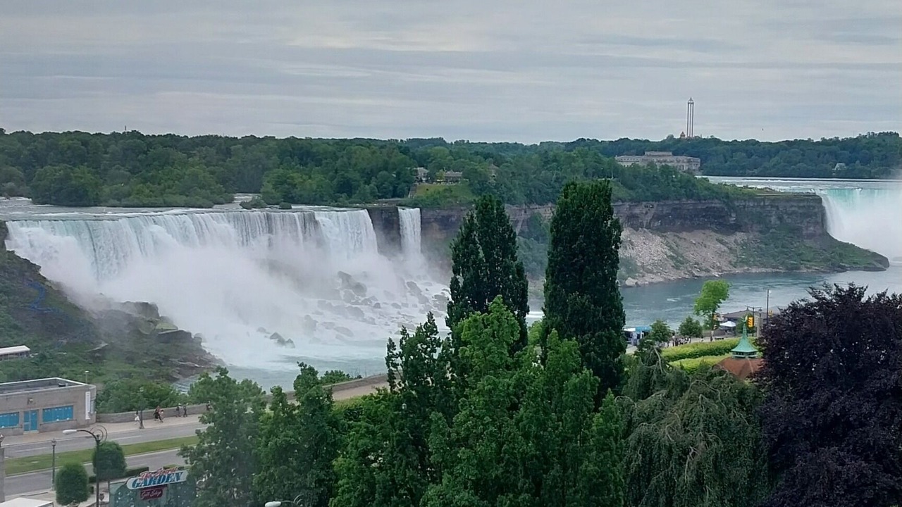 Photo of Others in Welland