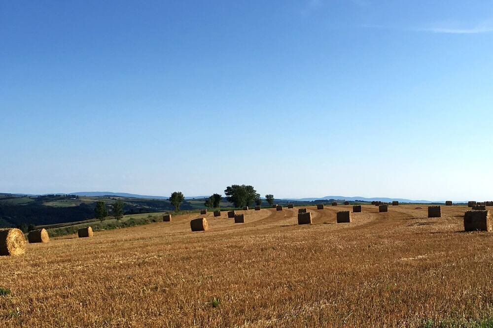 Photo of Outdoor in Le Masnau-Massuguies
