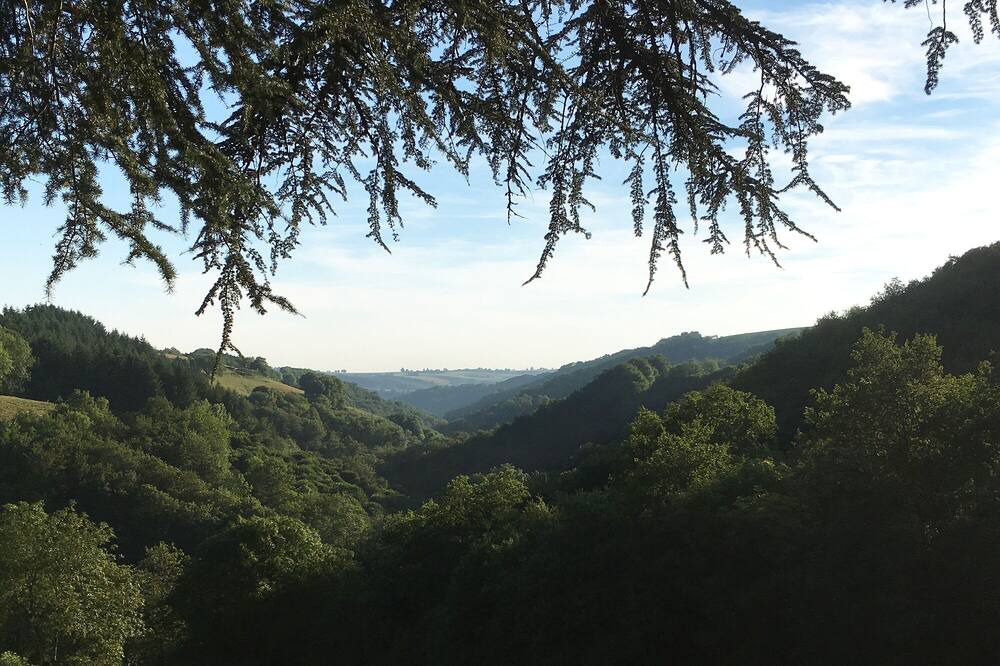 Photo of Outdoor in Le Masnau-Massuguies