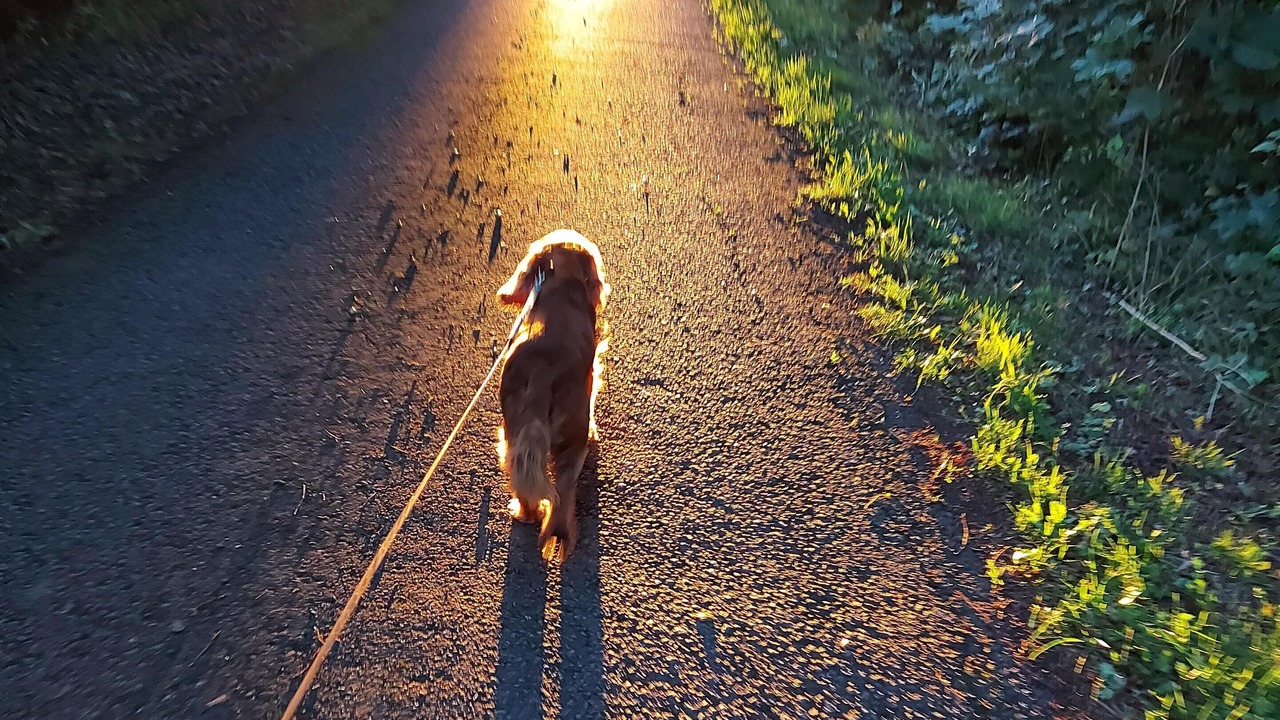 Photo of Outdoor in Chorlton-by-Backford