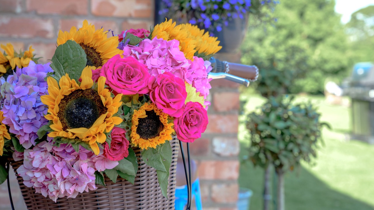 Photo of Outdoor in Chorlton-by-Backford