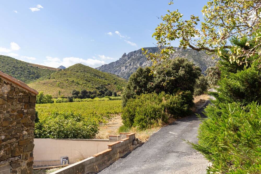 Photo of Others in Tautavel