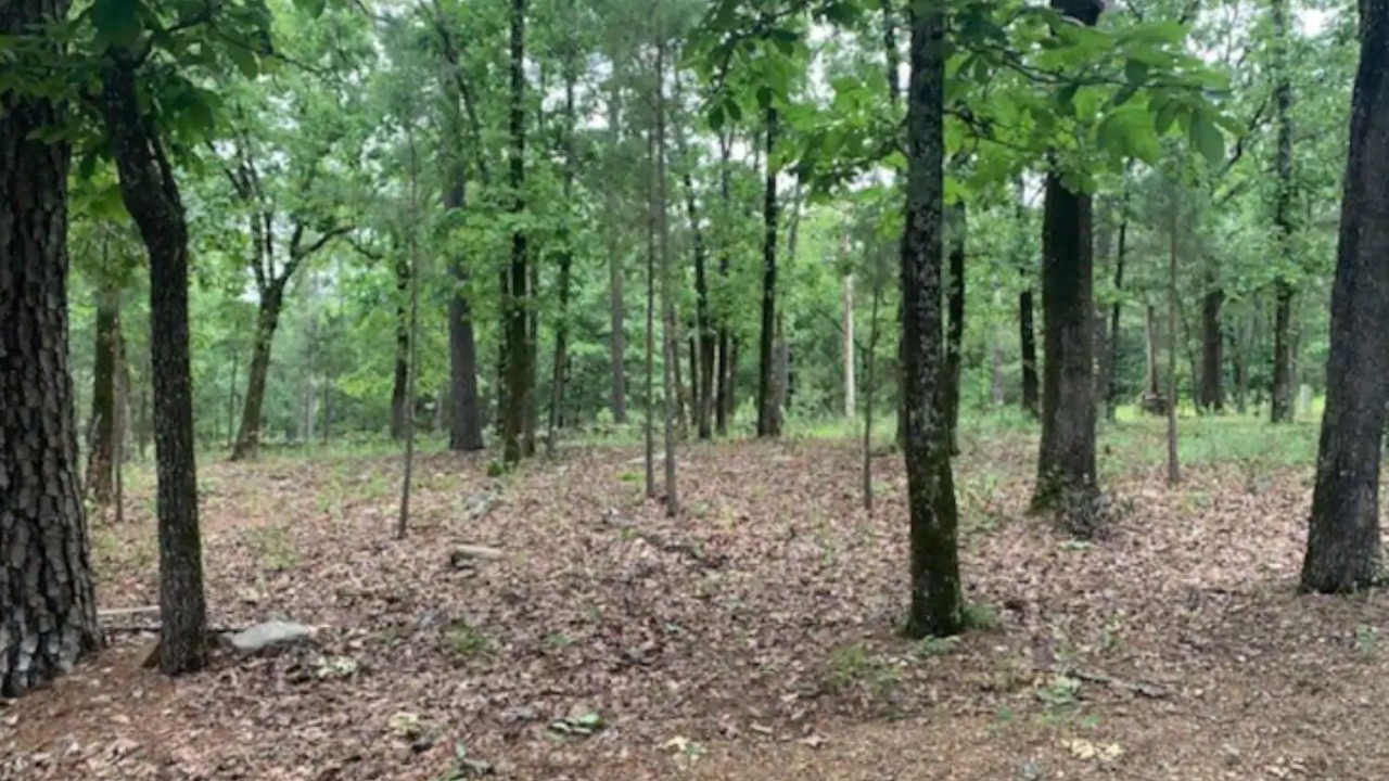 Photo of Outdoor in Clayton