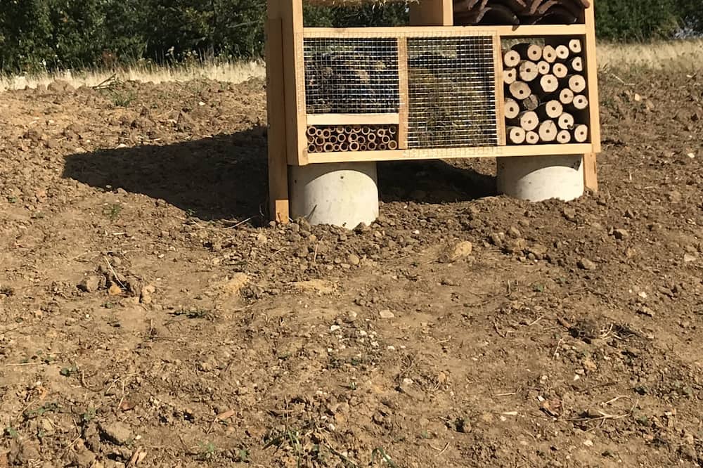 Photo of Others in Magnant