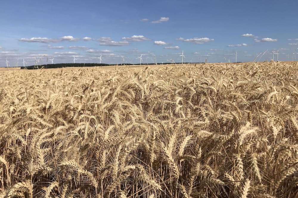 Photo of Others in Magnant