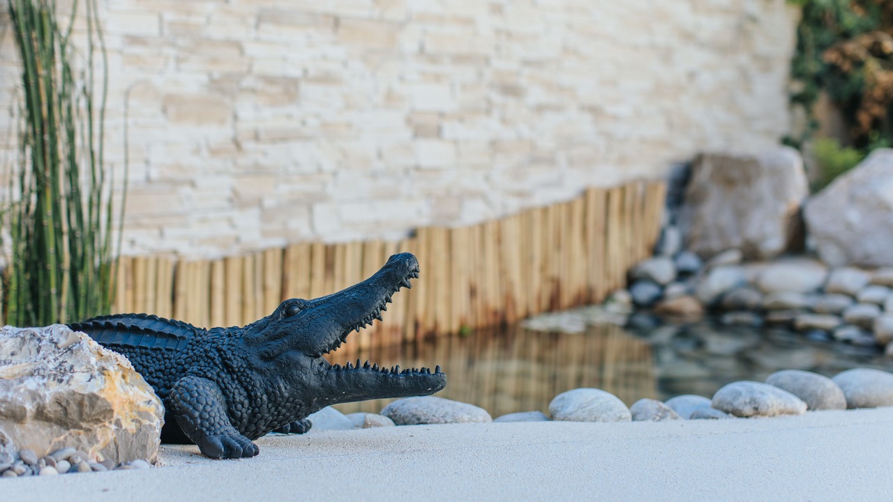 Photo of Outdoor in Vielle-Chapelle