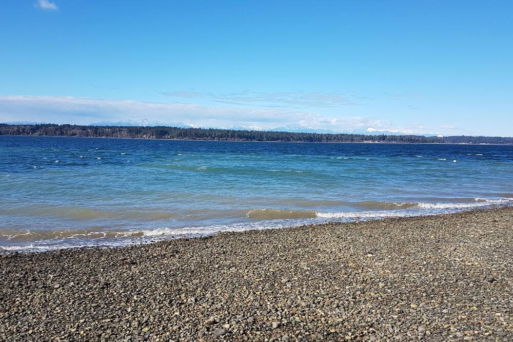 Photo of Others in Lakebay