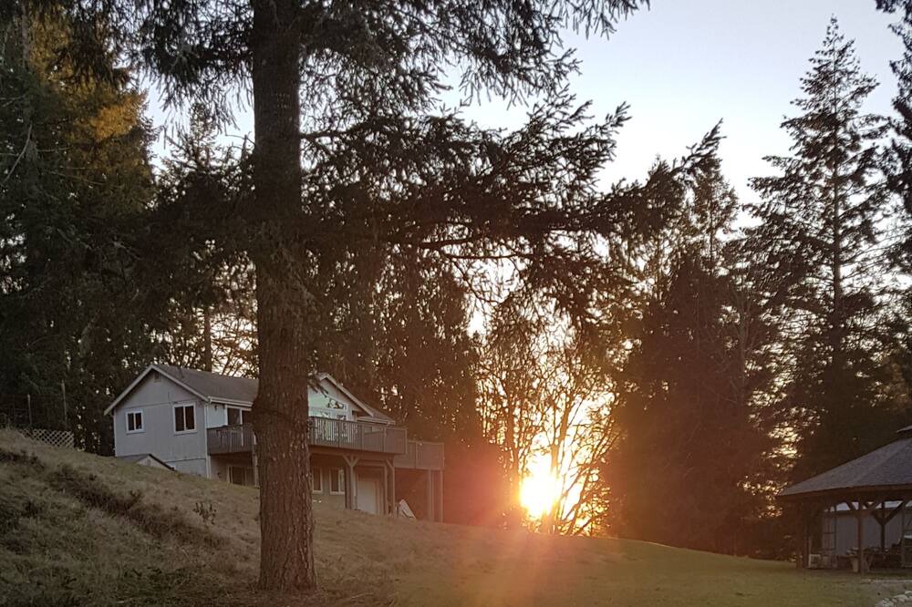 Photo of Outdoor in Lakebay