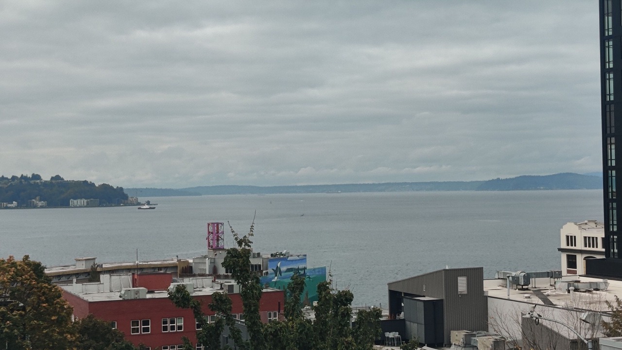 Photo of Others in Belltown